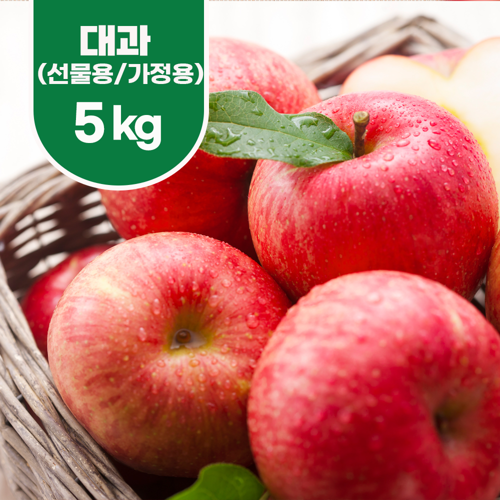 건강가득 제철과일 문경부사 5kg 대과(가정용:14~16과)